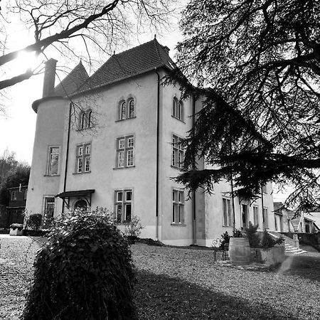Bed And Breakfast Le Chateau De Morey Belleau Ngoại thất bức ảnh