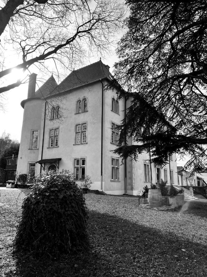 Bed And Breakfast Le Chateau De Morey Belleau Ngoại thất bức ảnh